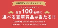 お年玉プレゼントキャンペーン