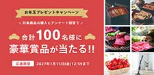 お年玉プレゼントキャンペーン