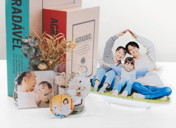 しまうまプラス