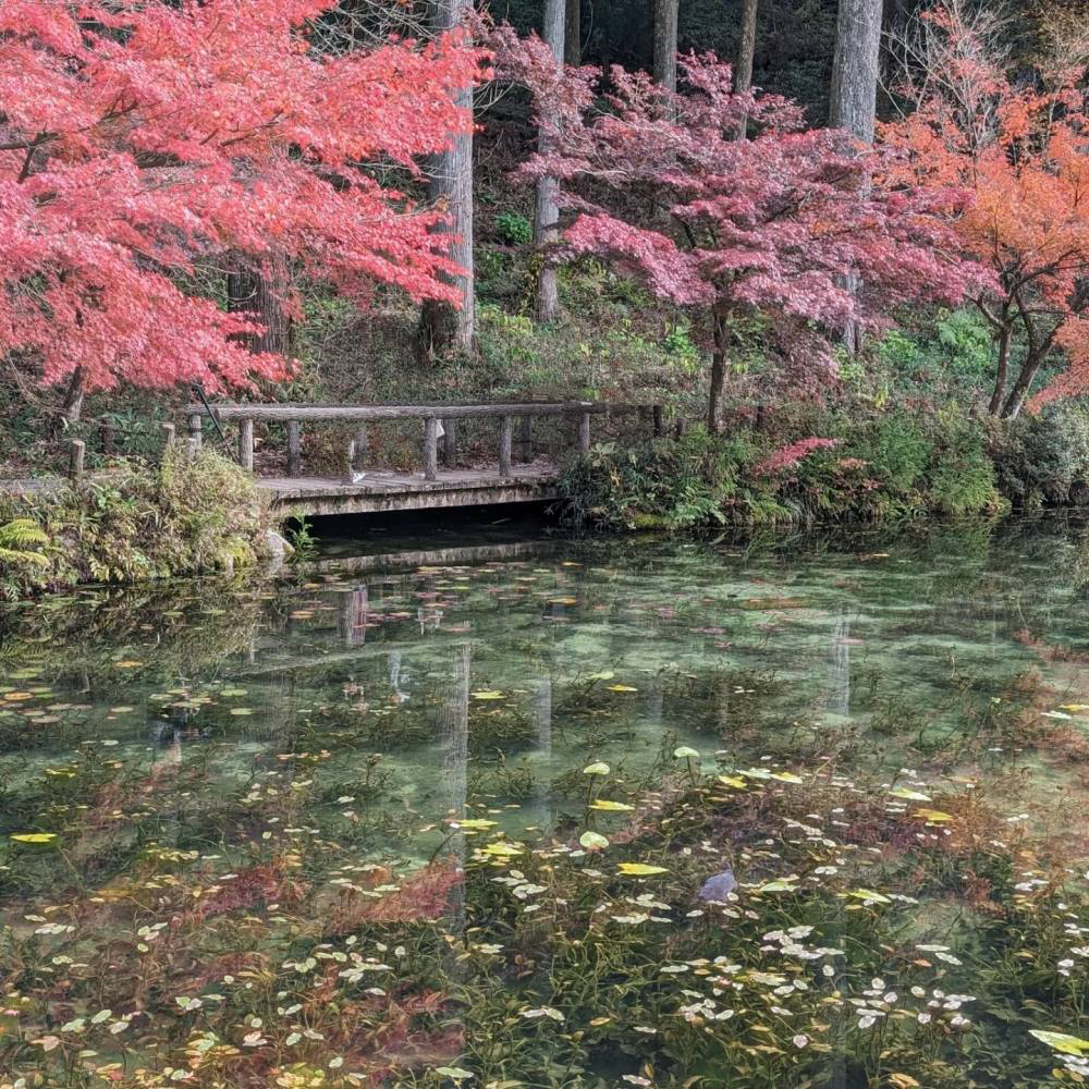 H.S.様（愛知県）