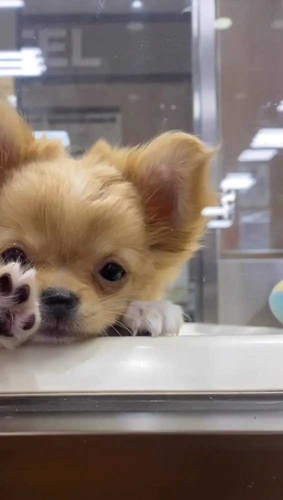 N.A.様（青森県）