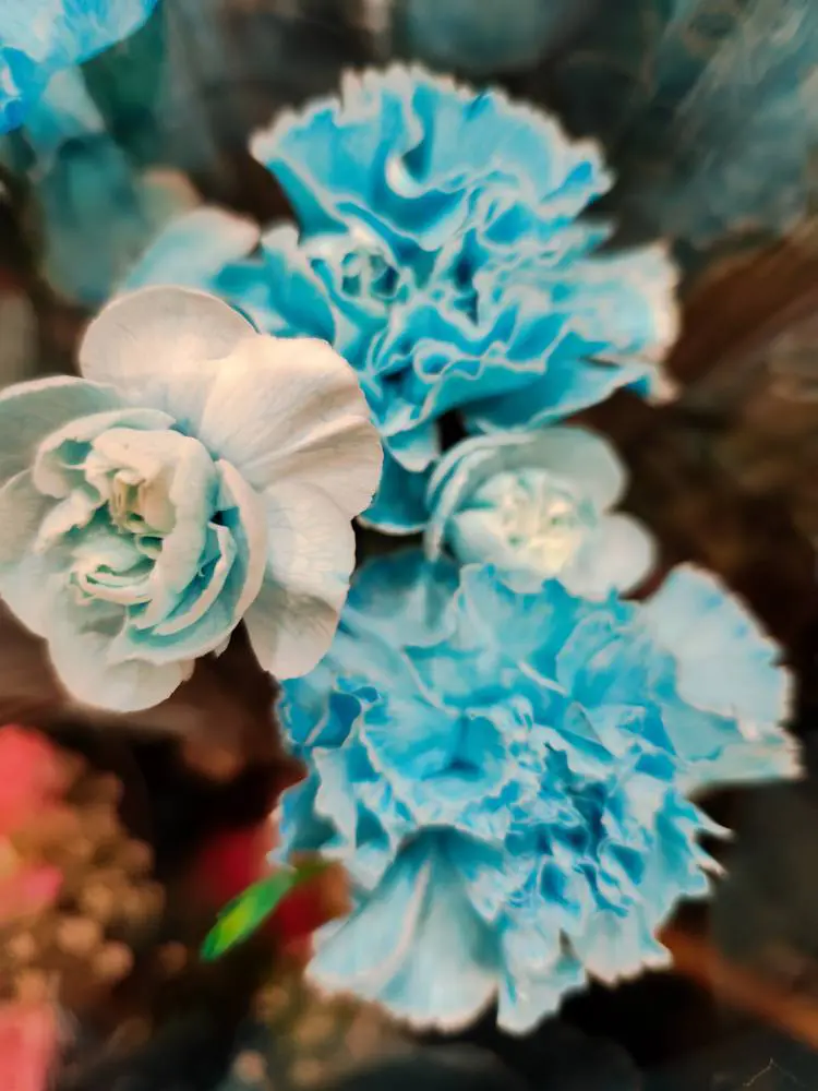 M.H.様（広島県）