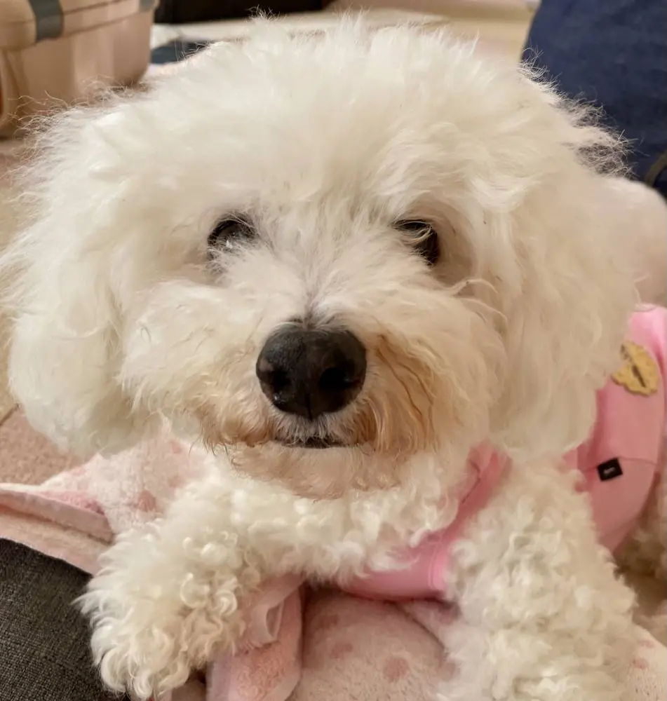 H.Y様（愛知県）