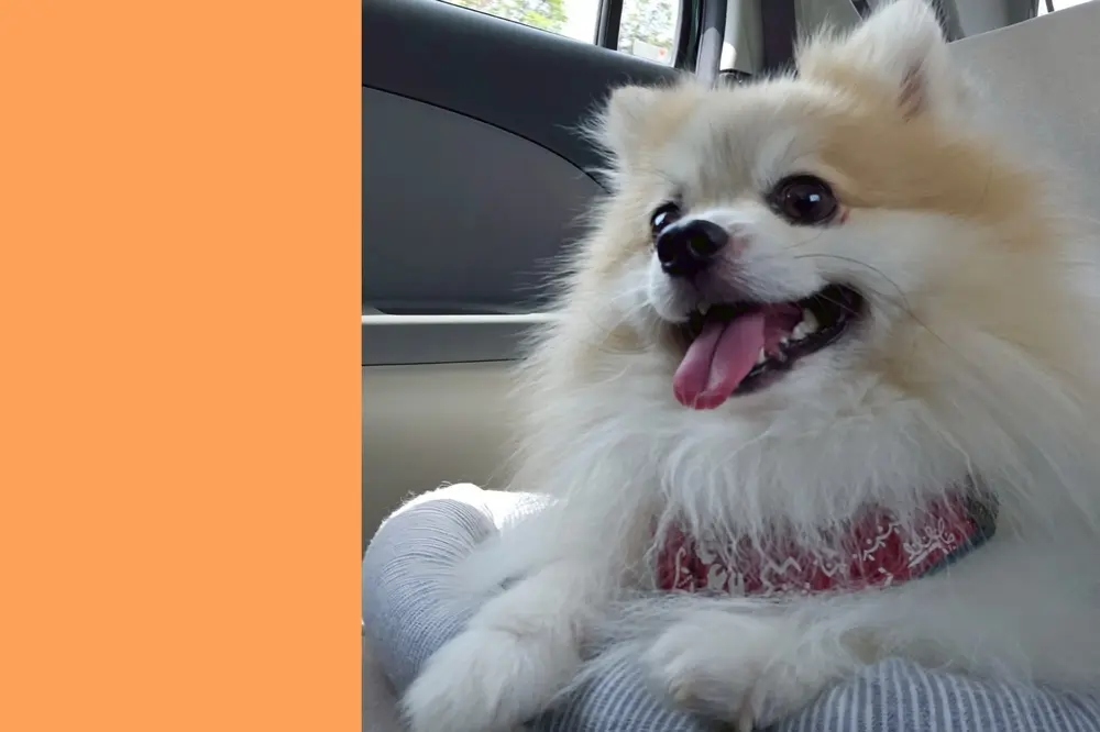 I.N様（千葉県）