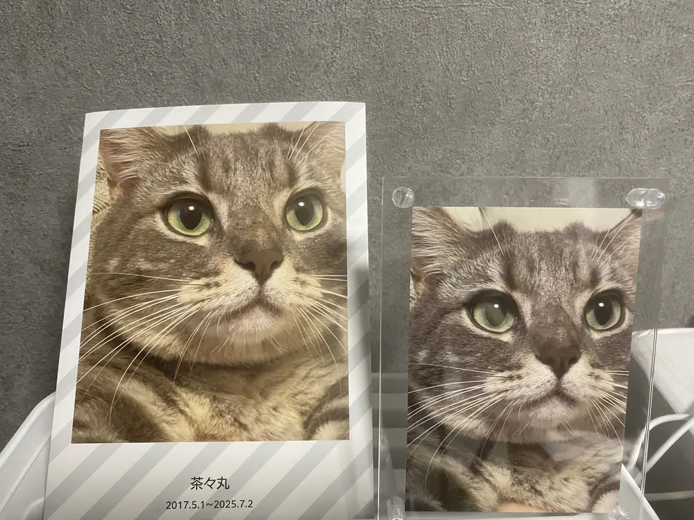 M.M様（兵庫県）