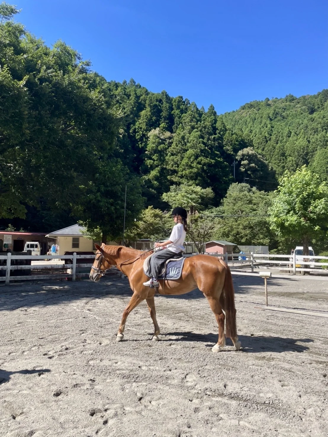 F.S様（滋賀県）