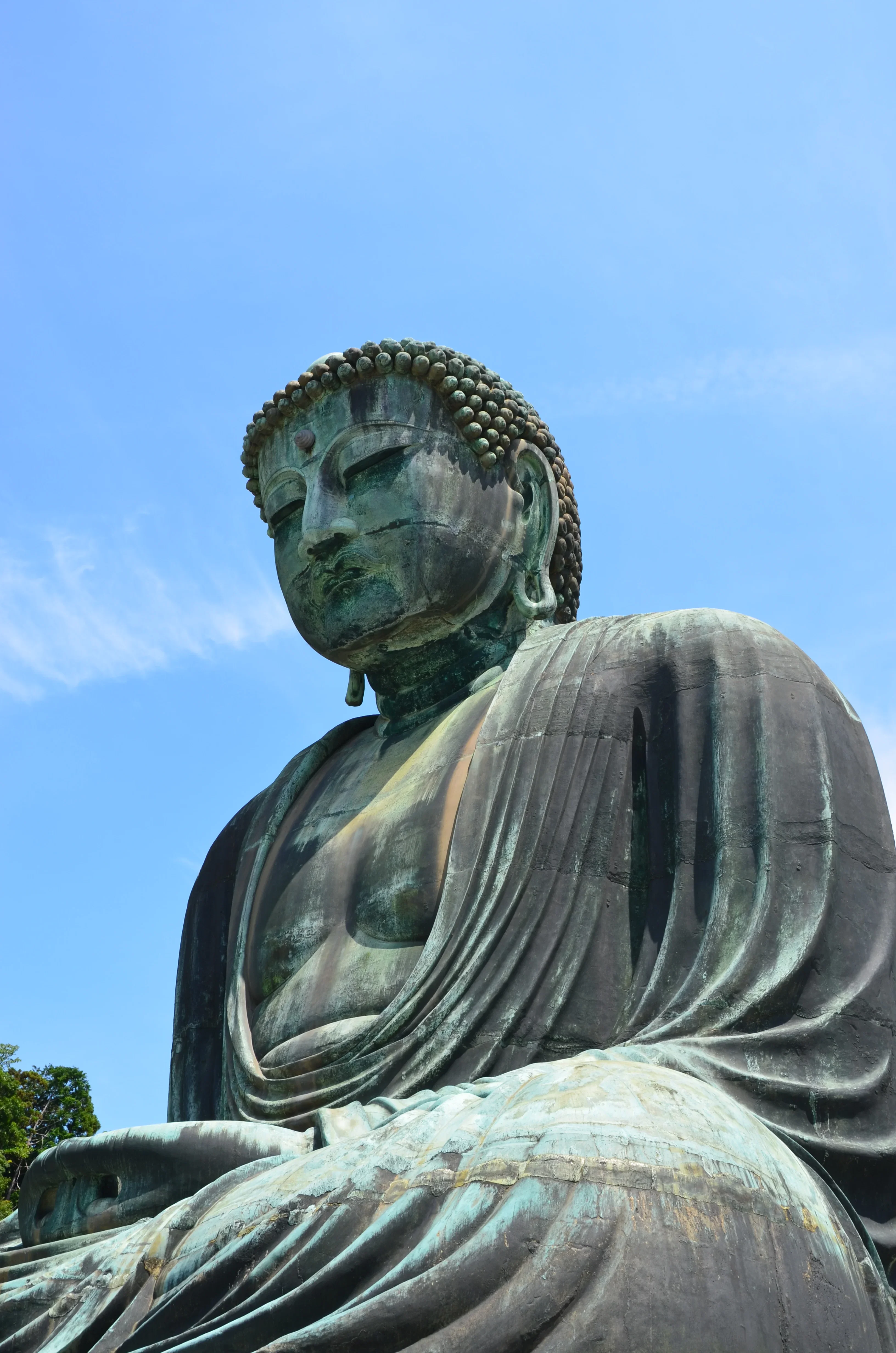 T.T様（神奈川県）