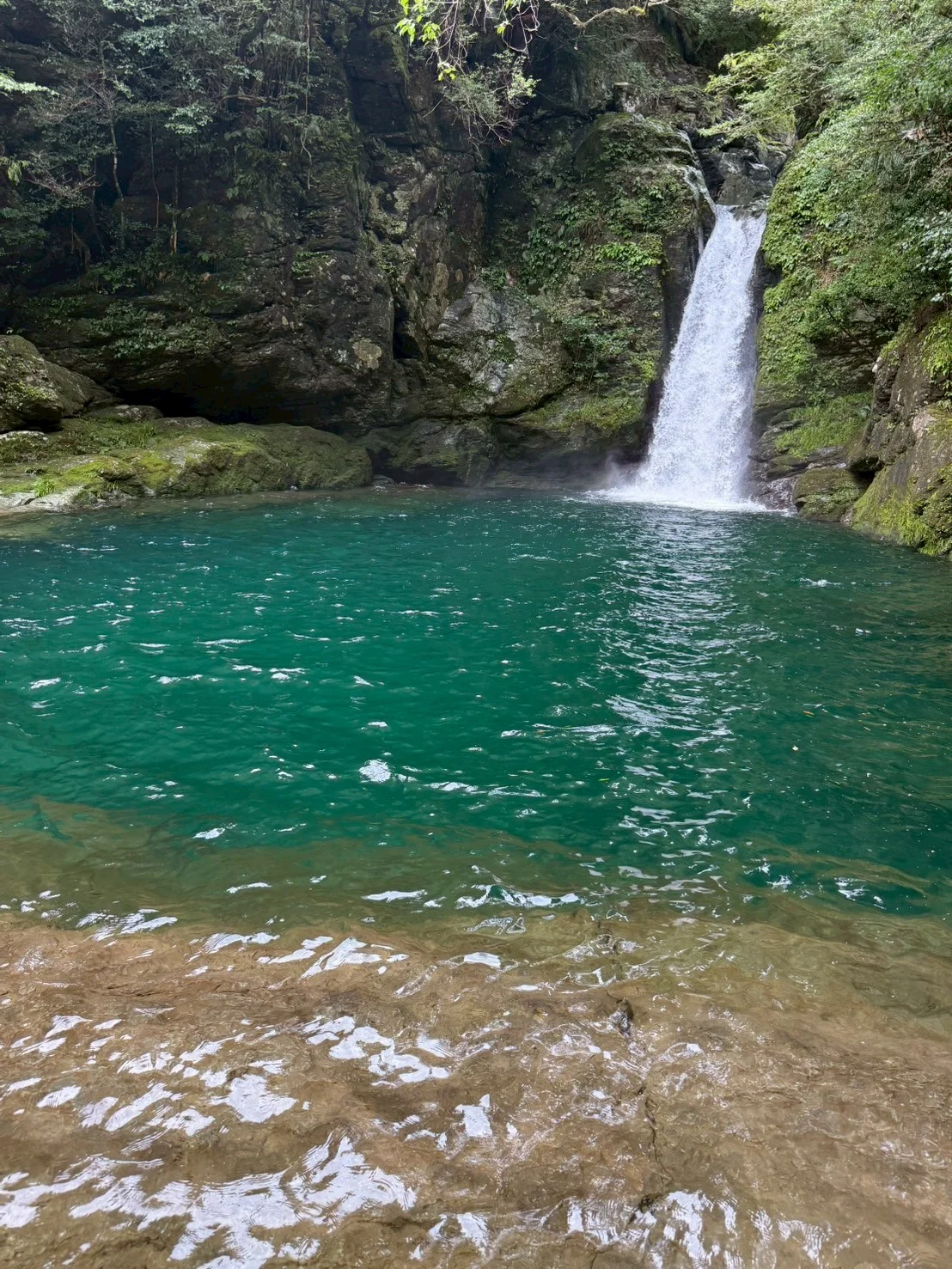 Y.K様（兵庫県）