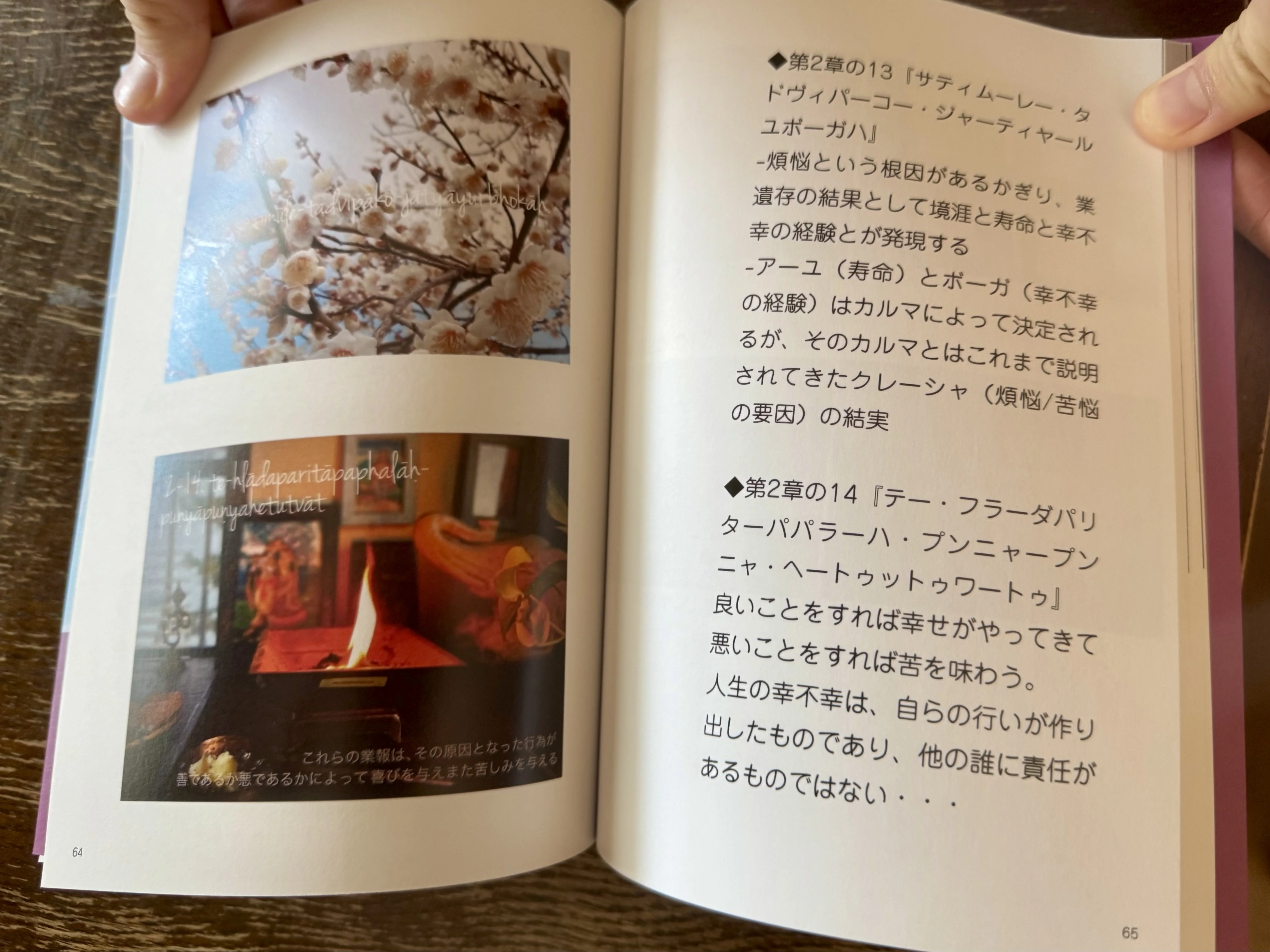 P.S様（大阪府）