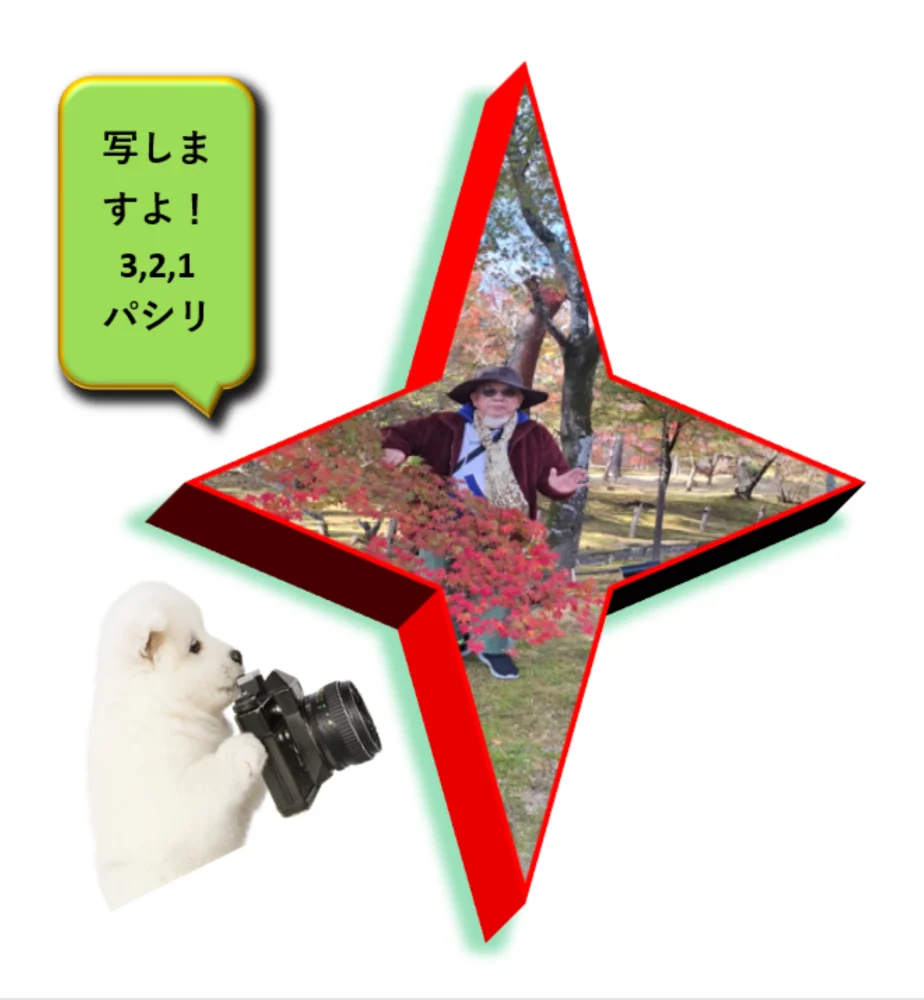 I.I様（大阪府）