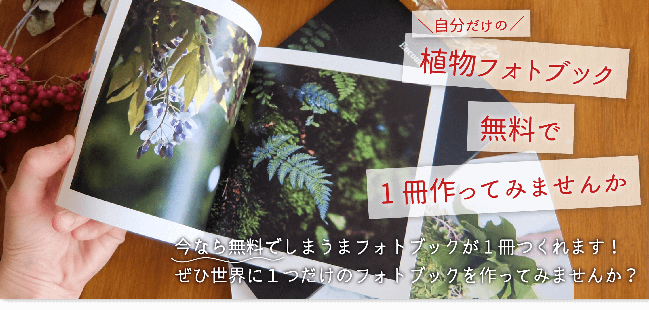 自分だけの植物フォトブック無料で1冊作ってみませんか