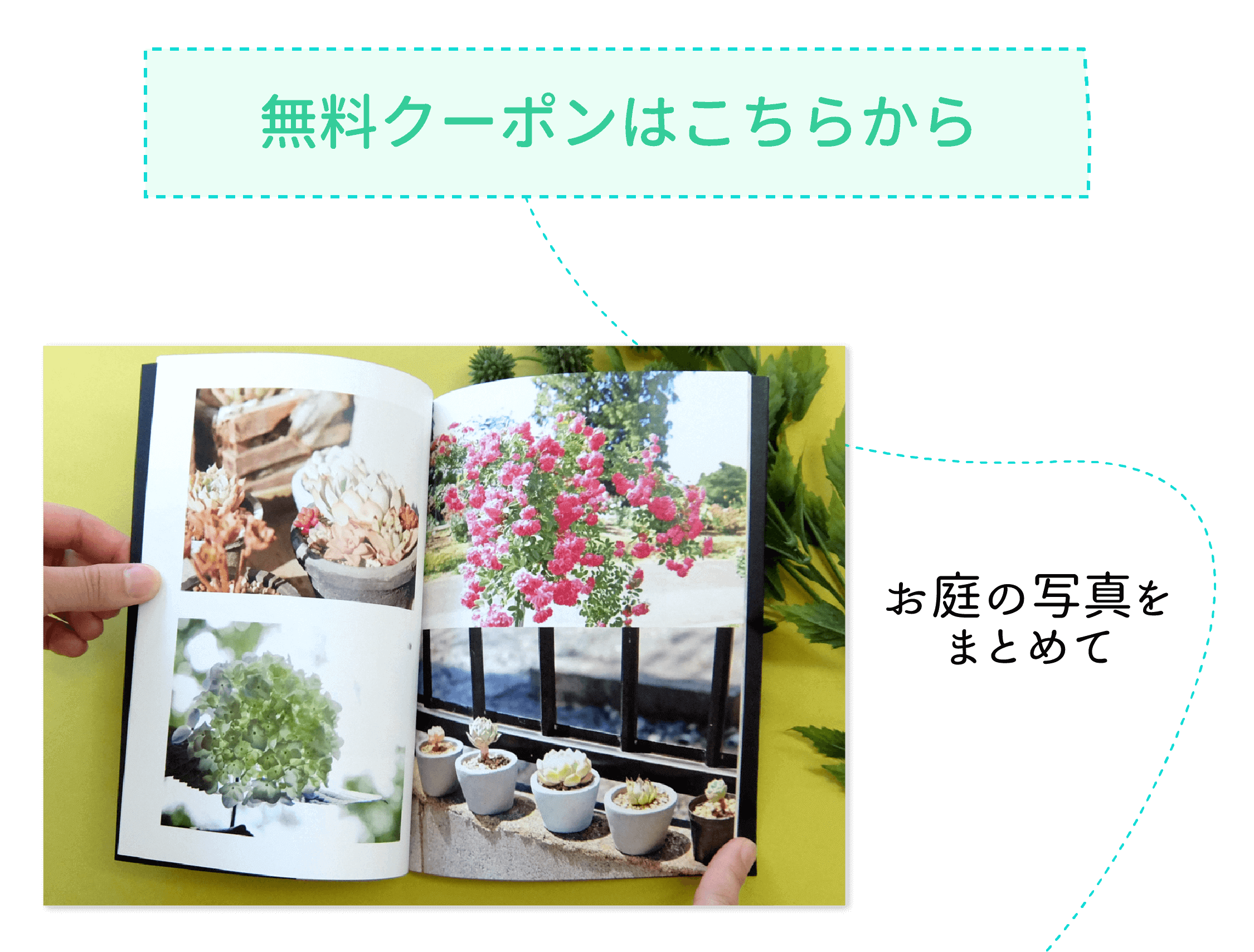 お庭の写真をまとめて