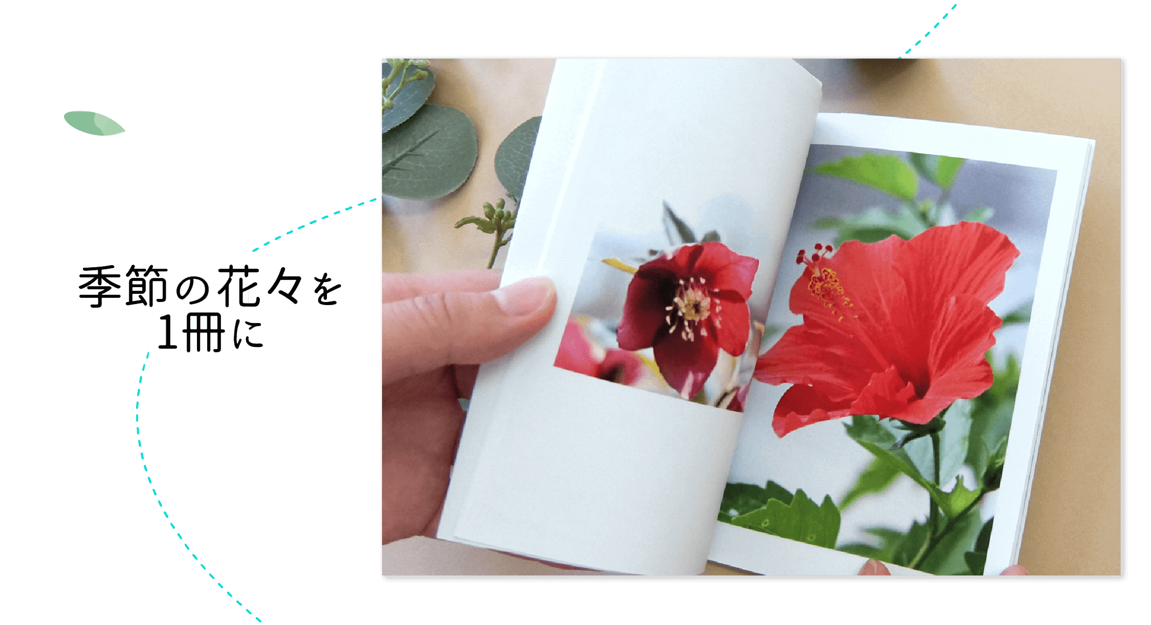 季節の花々を1冊に