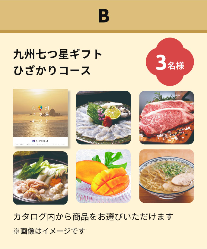 九州七つ星ギフトひざかりコース