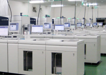 しまうま年賀状商品画像