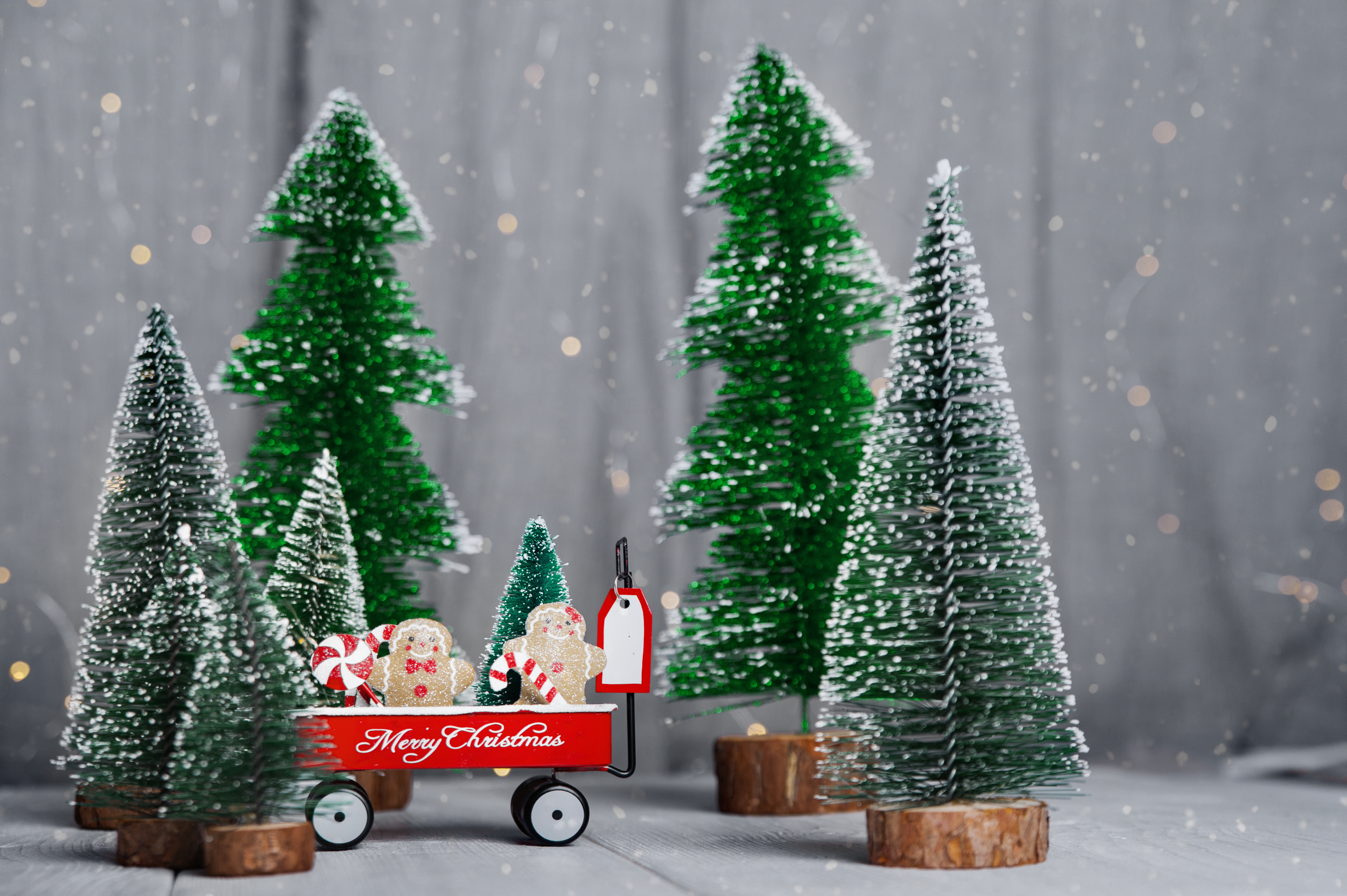 クリスマスカードを送り合う海外の文化